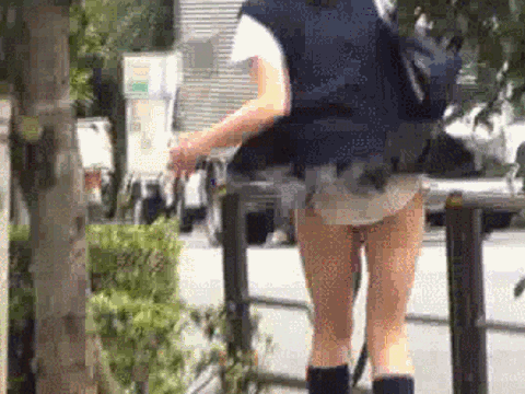 こういうハプニング的なパンチラってGIF画像で見るからこそ興奮するよなｗｗｗ