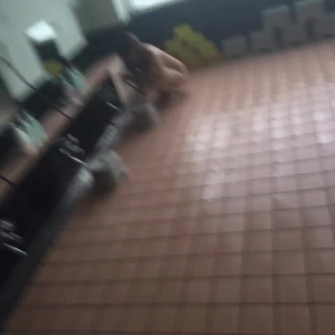 【おふざけVINE】スケベなリア充女子のおふざけエロVINEをGIF画像にしたらパンツが弾け飛んだｗｗｗｗ その9