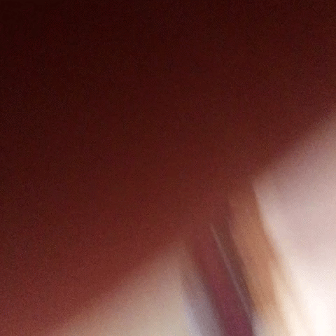【おふざけVINE】ぐぅ～ビッチばっかｗｗｗVINEでおふざけしまくるリア充をGIF画像にしたら抜けすぎて困るｗｗｗ その7