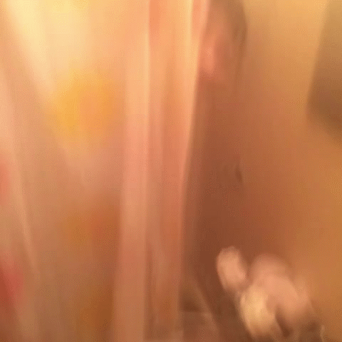 【おふざけVINE】全世界に恥を晒し続けるリア充ギャル達のおふざけエロVINEをGIF画像にしたらオナニー捗りすぎｗｗｗ その3