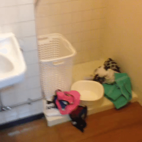 【おふざけVINE】ホントこいつらってビッチだよなｗｗお風呂の様子も全世界に公開するおふざけエロVINE その2