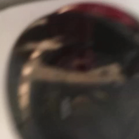 【おふざけVINE】ホントこいつらってビッチだよなｗｗお風呂の様子も全世界に公開するおふざけエロVINE その3