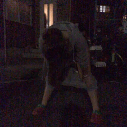 【おふざけVINE・GIF画像】パンチラ・ブラチラ・乳首まで…青春を謳歌しまくってるリア充女子のおふざけエロVINEが下品すぎてドン引きｗｗｗｗ その10