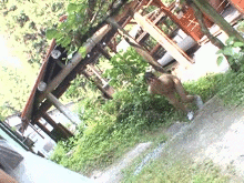 夏のキャンプ場は危険…友達とBBQしてる女の子に痴漢！野外で全裸放置する中出しGIF画像